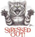stressed-cats-5341.jpg